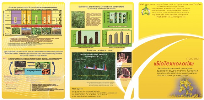 ������ ������������